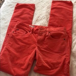 Salmon corduroy straight leg pant by GAP